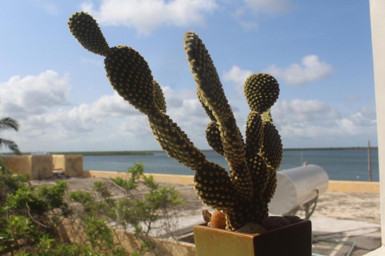Kijani Hotel Lamu Dış mekan fotoğraf